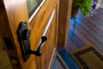 Exterior Prehung Door handle