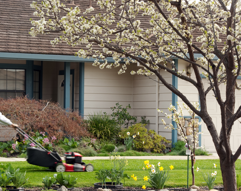 beautifully landscaped yard