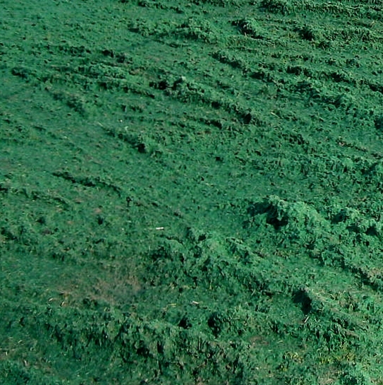 Hydroseeding