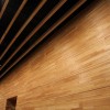 Wood Wall - Courtesy Of Vancouver Convention Centre