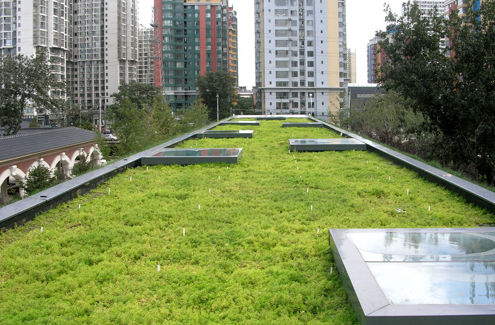 Green Roof of the Green Technology Showroom by Vector Architects