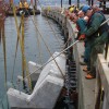 Marine Habitat Construction | Credit: WorleyParsons Canada Ltd.