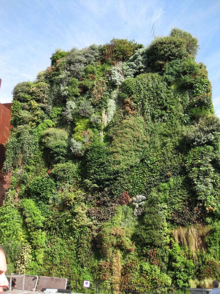 Patrick Blanc's Vertical Garden in Madrid, Spain