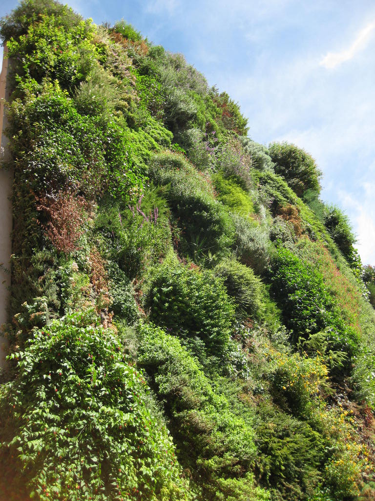 Patrick Blanc's Vertical Garden in Madrid, Spain