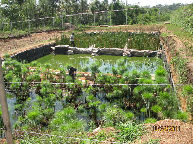 self-sustaining farming at Gashora Girls Academy in Rwanda