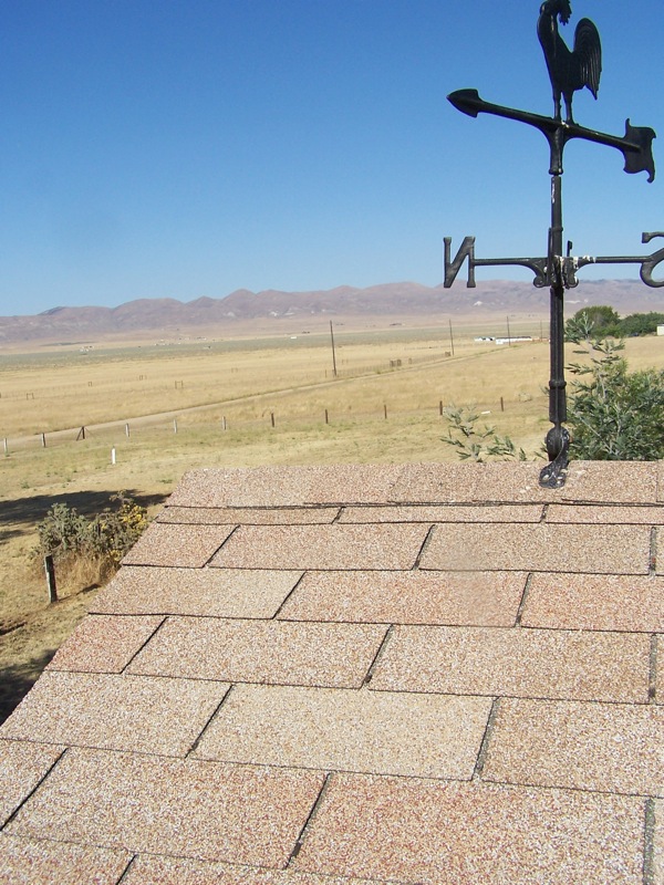 roof with weather vane