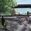 Brooklyn Bridge Park Renderings  | Credit: Michael Van Valkenburgh Associates
