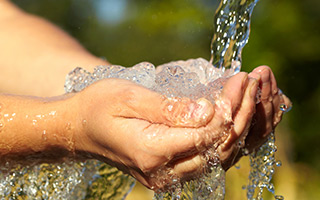 hands at a water faucet