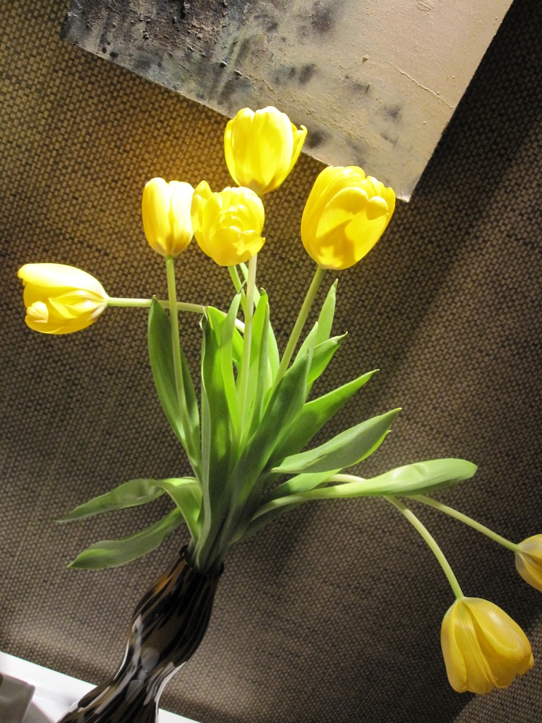 spring_flowers_047