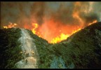 Wildfire - Credit Bureau Of Land Management