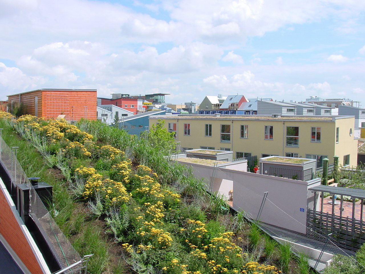 Green roof of the Bo01 District of Malmo, Sweden