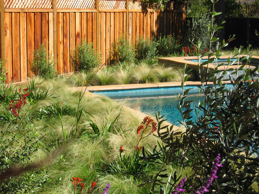 Living Green in Outdoor Spaces