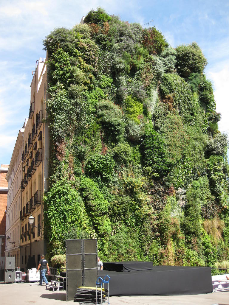 Patrick Blanc's Vertical Garden in Madrid, Spain
