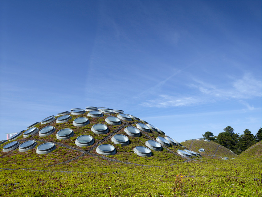 The circular skylight on the green roof of the California Academy of Sciences by Renzo Piano