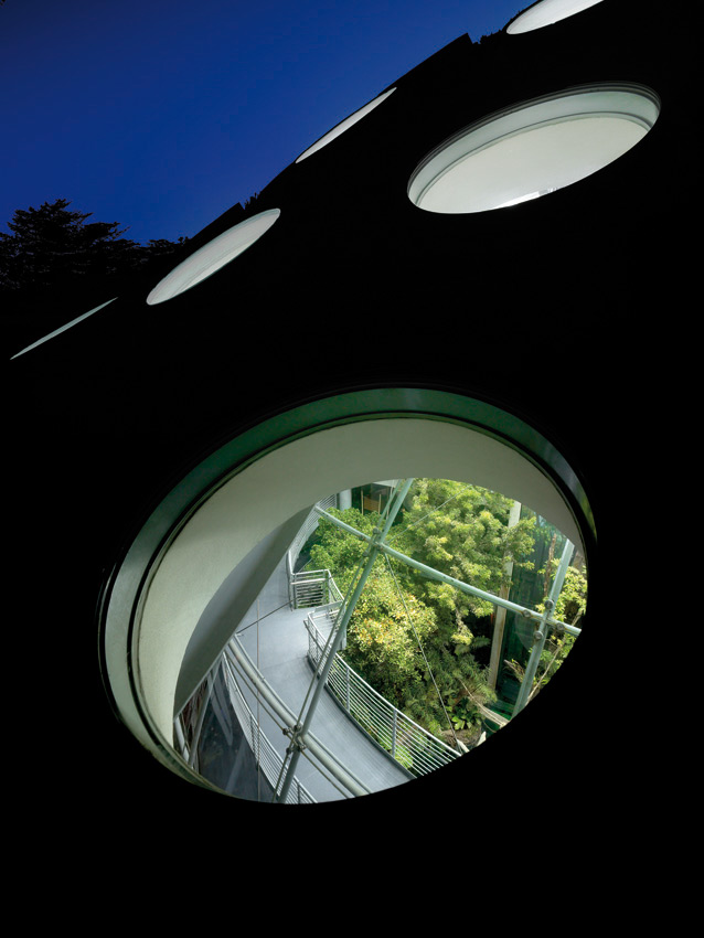 The circular skylight on the green roof of the California Academy of Sciences by Renzo Piano