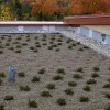 Vegetated Roof | Credit: Buildipedia