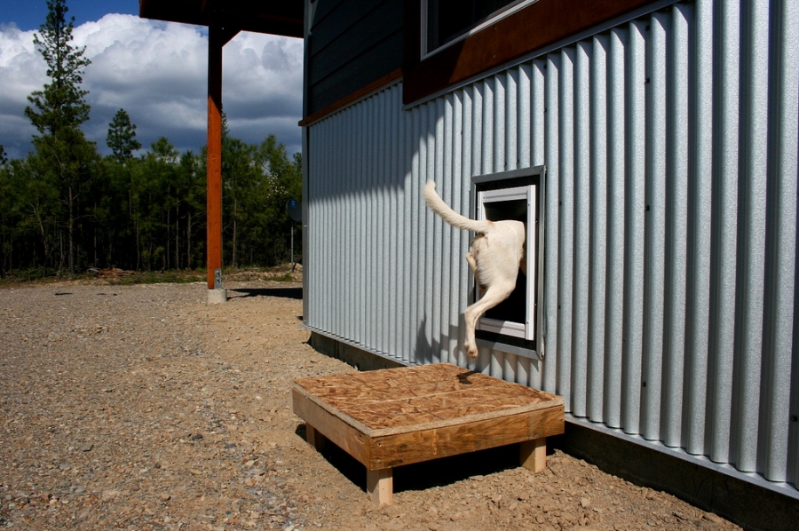 Homemade pet door best sale