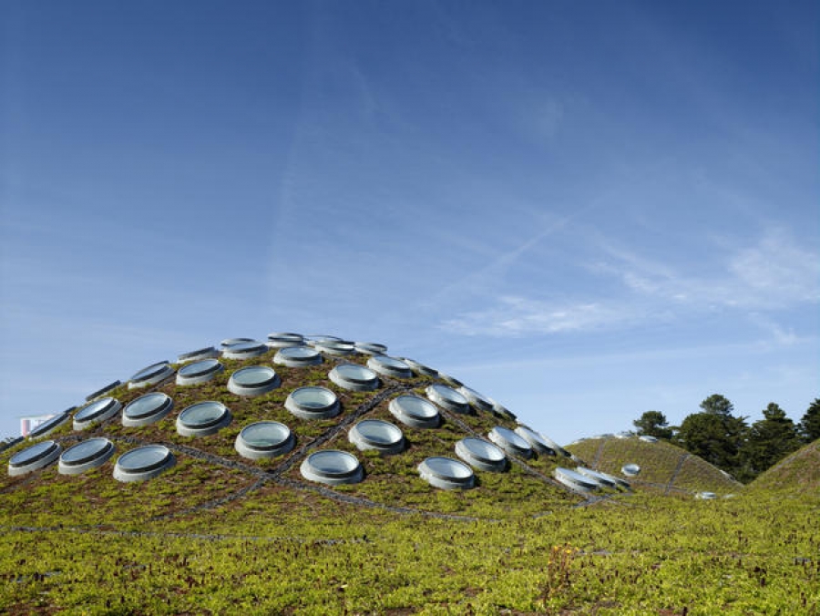 Renzo Piano’s California Academy of Sciences