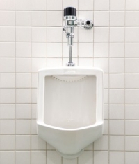 Flushometers