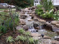 9 Ideas for Your Natural Landscaping