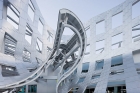 Organic Forms in Architecture