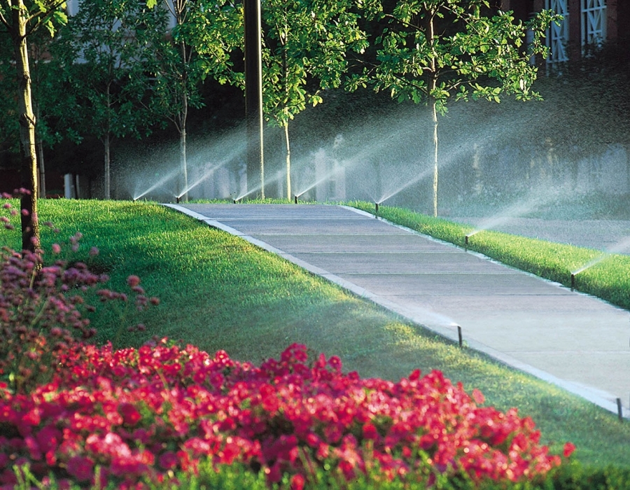 Irrigation: Is Grass Greener on the Other Side?