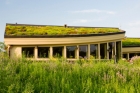 Green Roofing Options