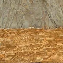 Parallel Strand Lumber