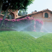 Maintenance Tips: Automatic Sprinkler Systems
