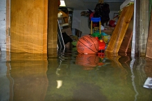 Storm Readiness and Repair: Preparing for the Next Flood